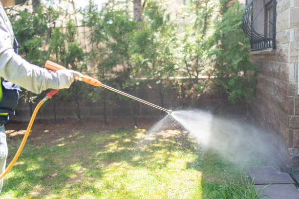 Indoor Pest Control in Hart, MI